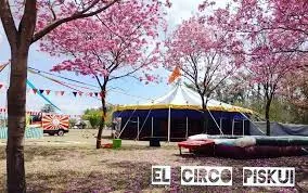 La carpa entre lapachos